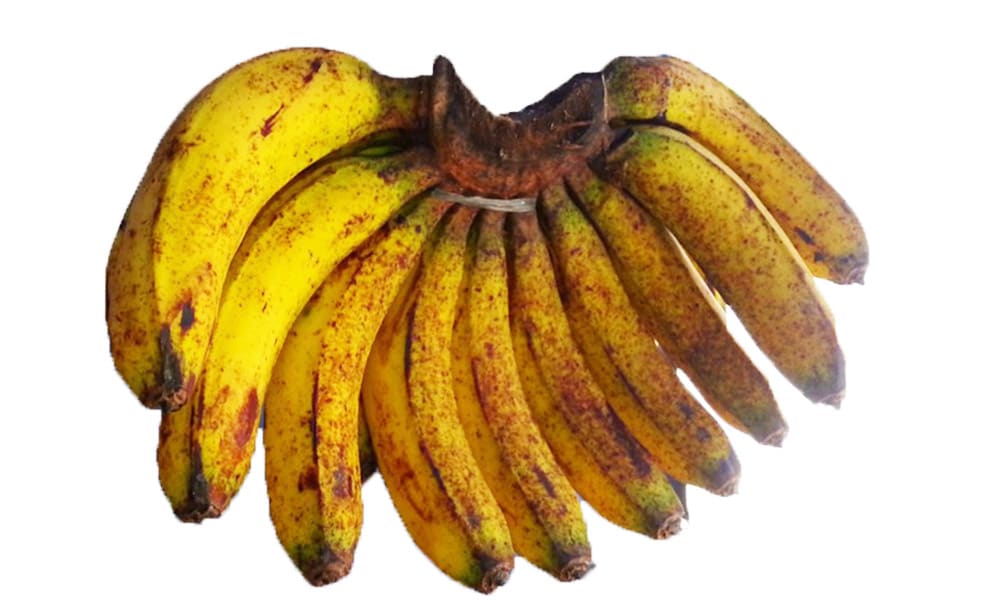 pisang barangan